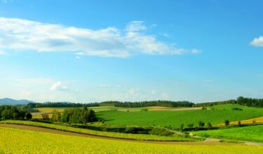 【注目！】人気が高まっている「移住・住みかえ」に対する地方自治体の活動