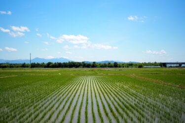 【移住資金】移住・住みかえ支援機構（JTI）の「マイホーム借上げ制度」活用事例（Uターンの場合）